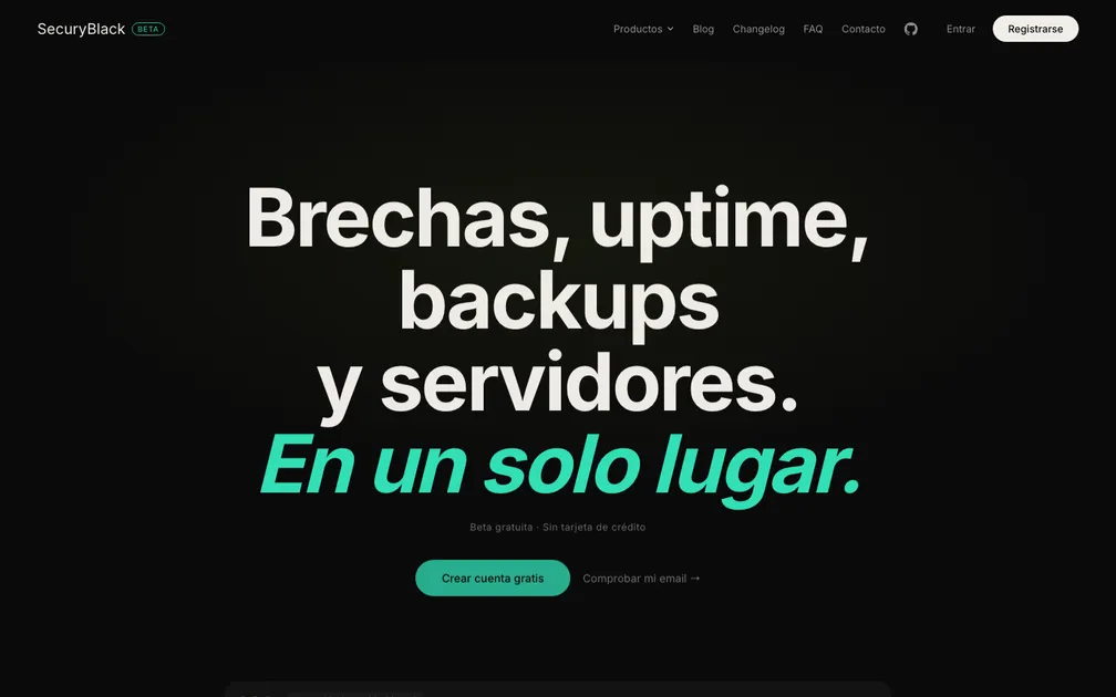 SecuryBlack screenshot